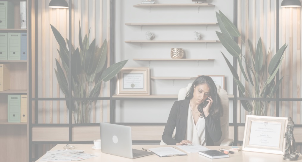 contacto visalex consulting